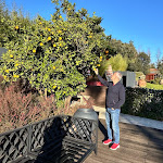 Photo n°2 de l'avis de Silvio.e fait le 25/01/2024 à 15:40 sur le  Vinha Boutique Hotel à Vila Nova de Gaia