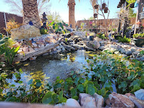 Vivid Watergardens - Photo 2 - Car repair in Hesperia, CA, Victorville