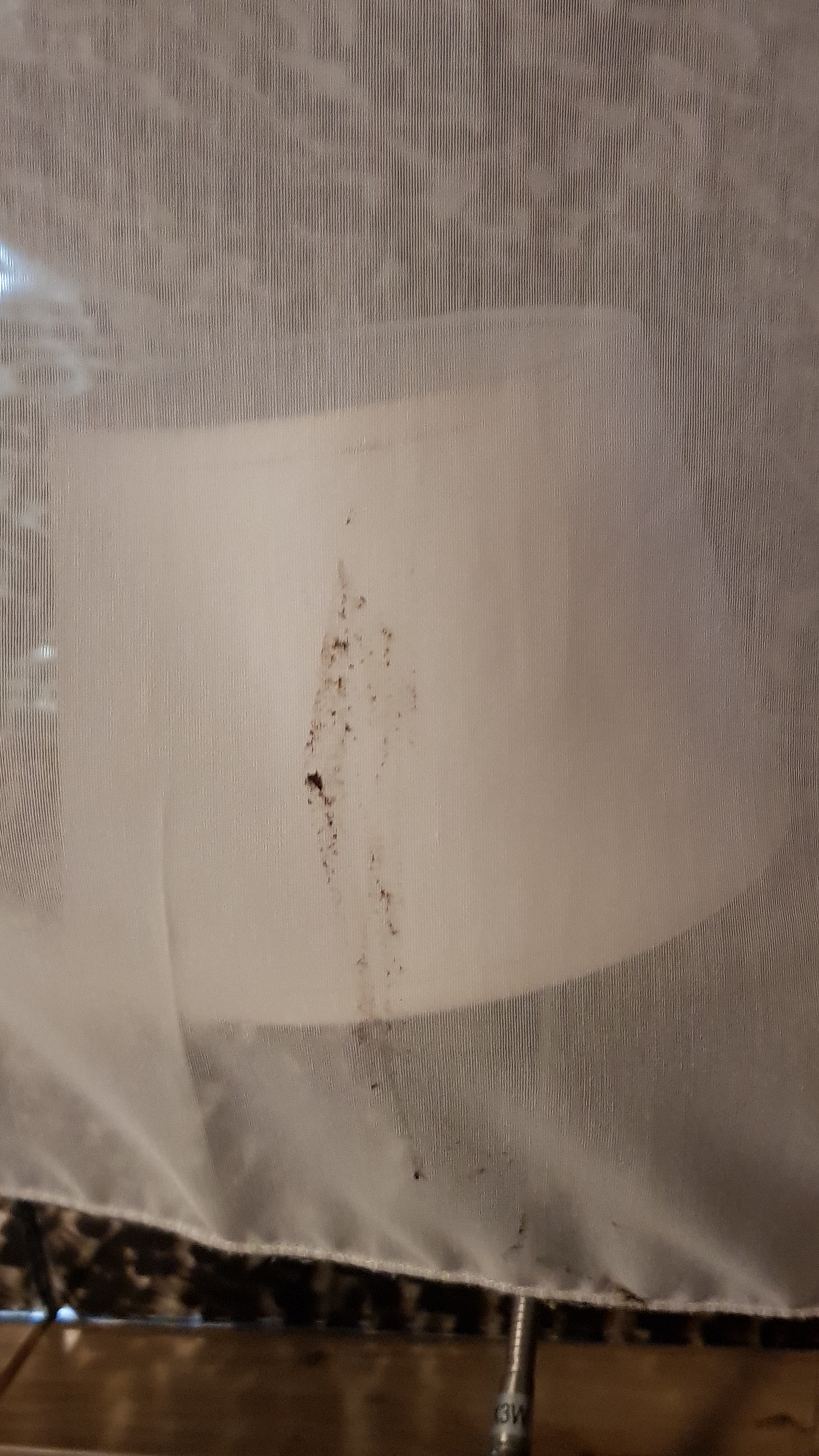 Photo n° 2 de l'avis de Aurelie.o fait le 28/05/2019 à 07:37