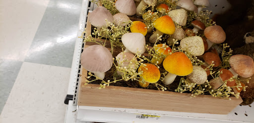 Fabric Store «Jo-Ann Fabrics and Crafts», reviews and photos, 2020 Gunbarrel Rd #198, Chattanooga, TN 37421, USA