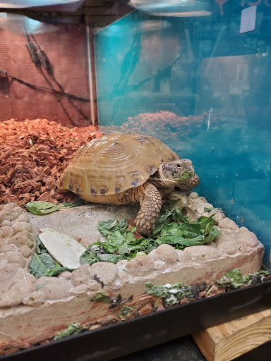 Pet Store «Pet Advantage», reviews and photos, 350 Dorset St # 1, South Burlington, VT 05403, USA