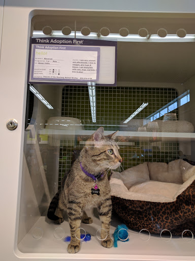 Pet Supply Store «Petco Animal Supplies», reviews and photos, 12444 NW 10th St #301, Yukon, OK 73099, USA