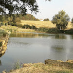 Photo n° 3 de l'avis de Christiane.O fait le 12/09/2020 à 16:17 pour Parc de la marre à Bouligny