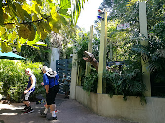 Raptor Encounter