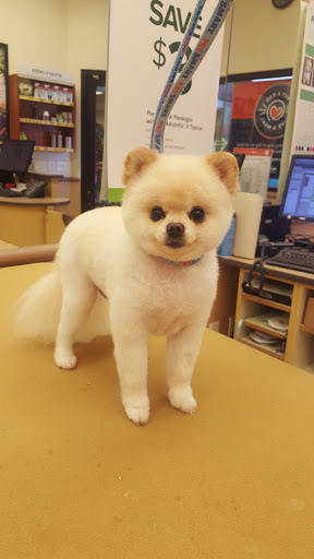 Pet Supply Store «PetSmart», reviews and photos, 1145 W Riverdale Rd, Riverdale, UT 84405, USA