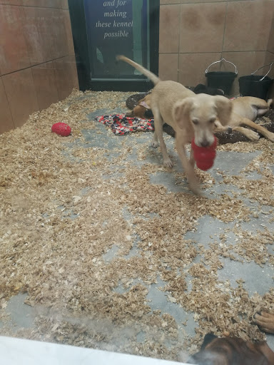 Pet Store «Pets Plus - Lansdale», reviews and photos, 555 S Broad St, Lansdale, PA 19446, USA