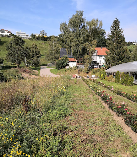 Vogelrüti 110, 5443 Niederrohrdorf, Schweiz