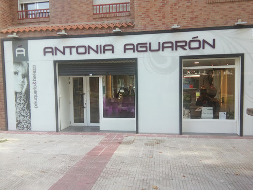 puertas automaticas Antonia Aguarón en Zaragoza