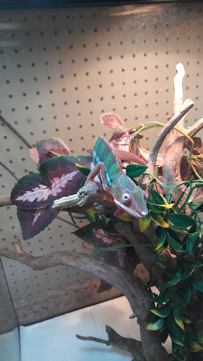 Pet Supply Store «Pet Bazaar», reviews and photos, 490 FL-436, Casselberry, FL 32707, USA