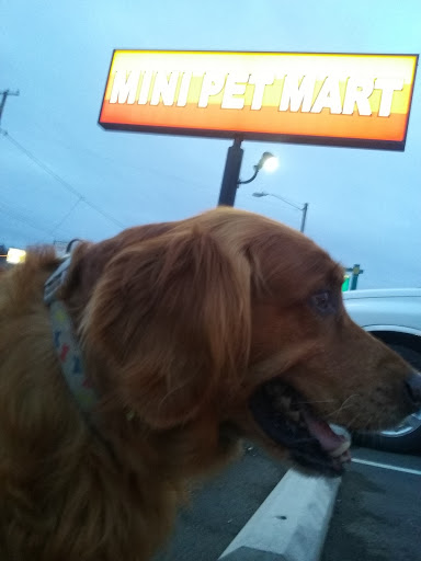 Pet Supply Store «Mini Pet Mart», reviews and photos, 815 S Broadway, Coos Bay, OR 97420, USA