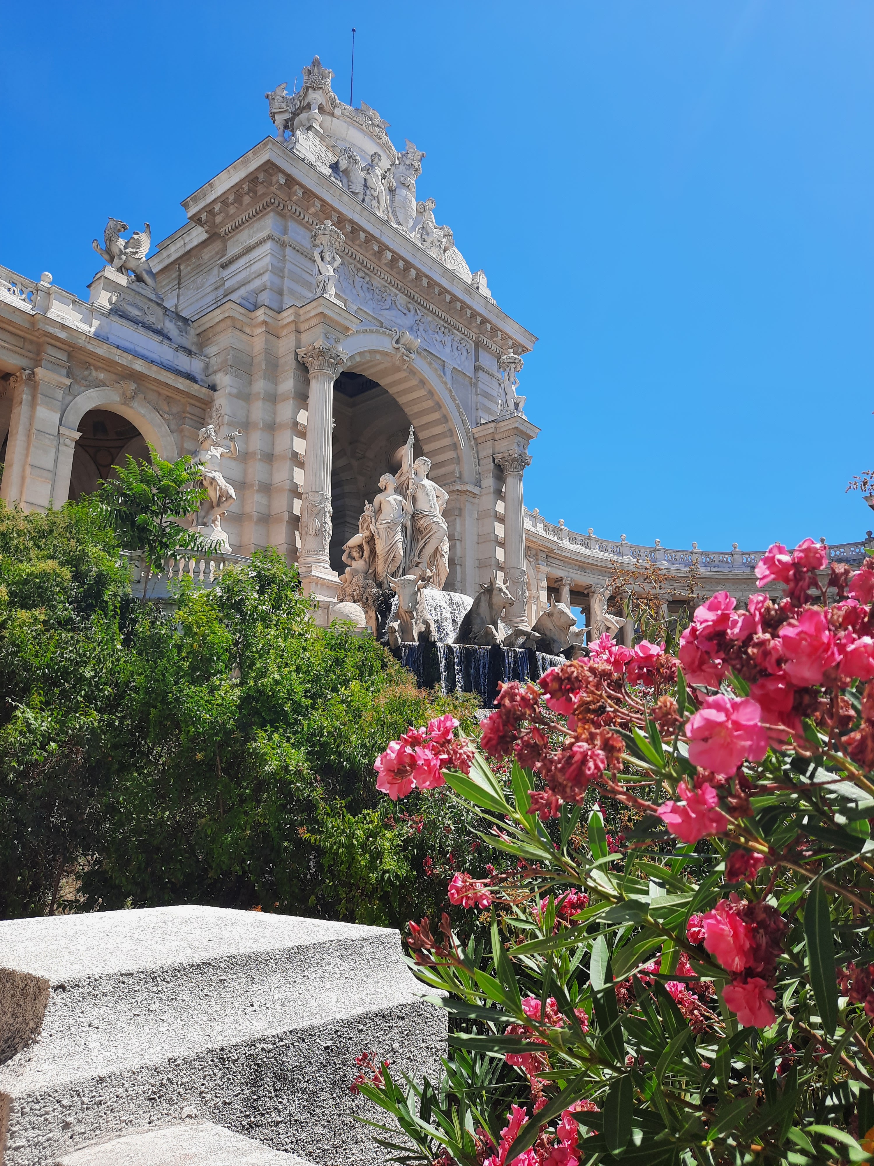Photo n° 3 de l'avis de tortugafr. fait le 16/08/2023 à 13:08