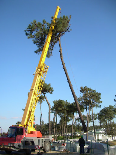 GRUAS GAMA - ESTALEIRO