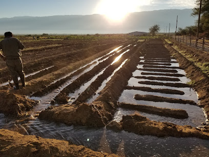 Colegio Nacional Agrotecnico 'Ing. Julio Cesar Martínez'