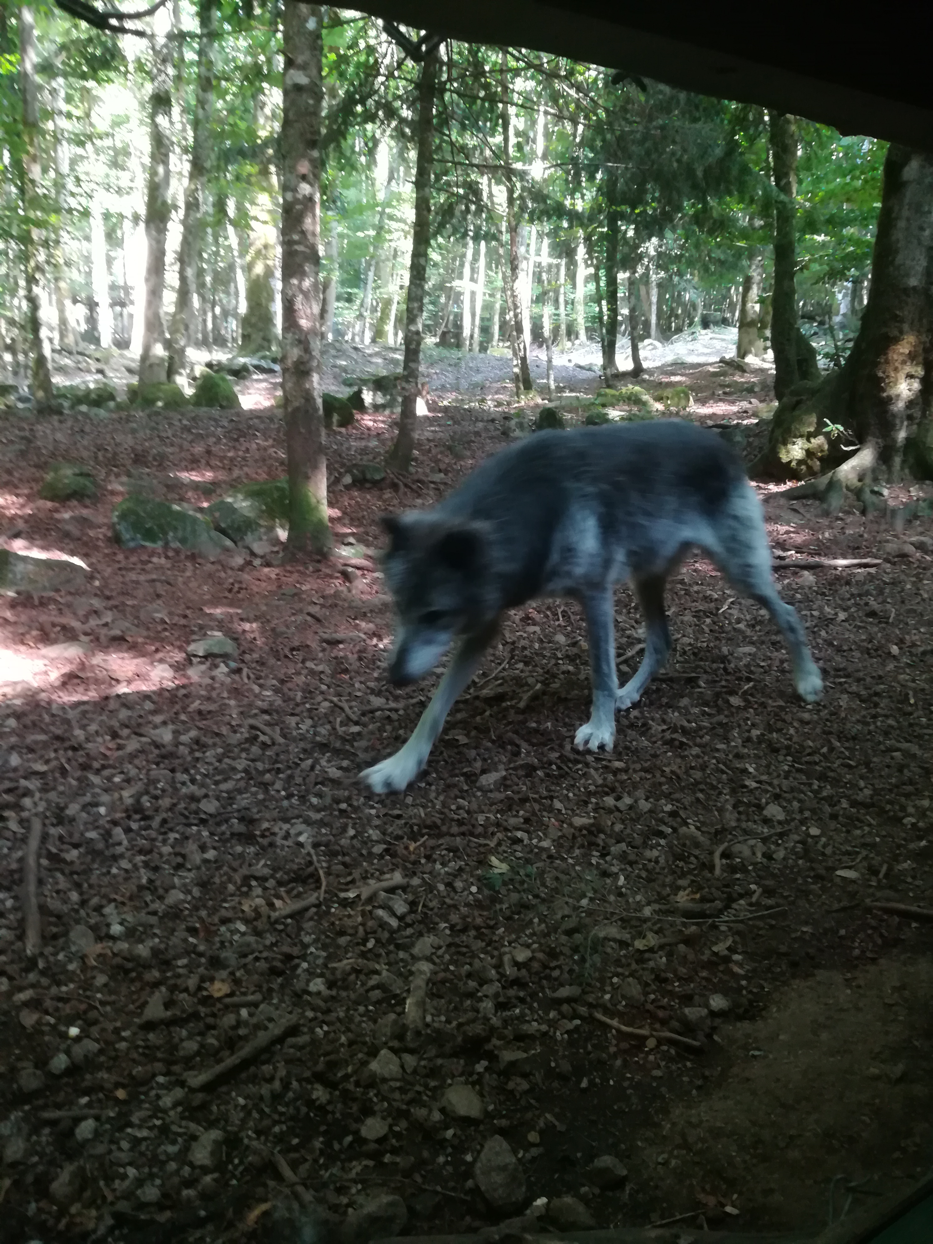 Photo n° 2 de l'avis de Audrey.� fait le 28/07/2017 à 17:11