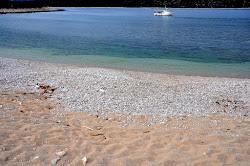 Lopata beach'in fotoğrafı vahşi alan