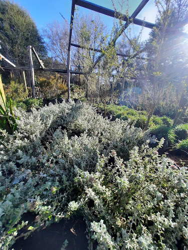 Vivero Las Hortensias - Centro de jardinería