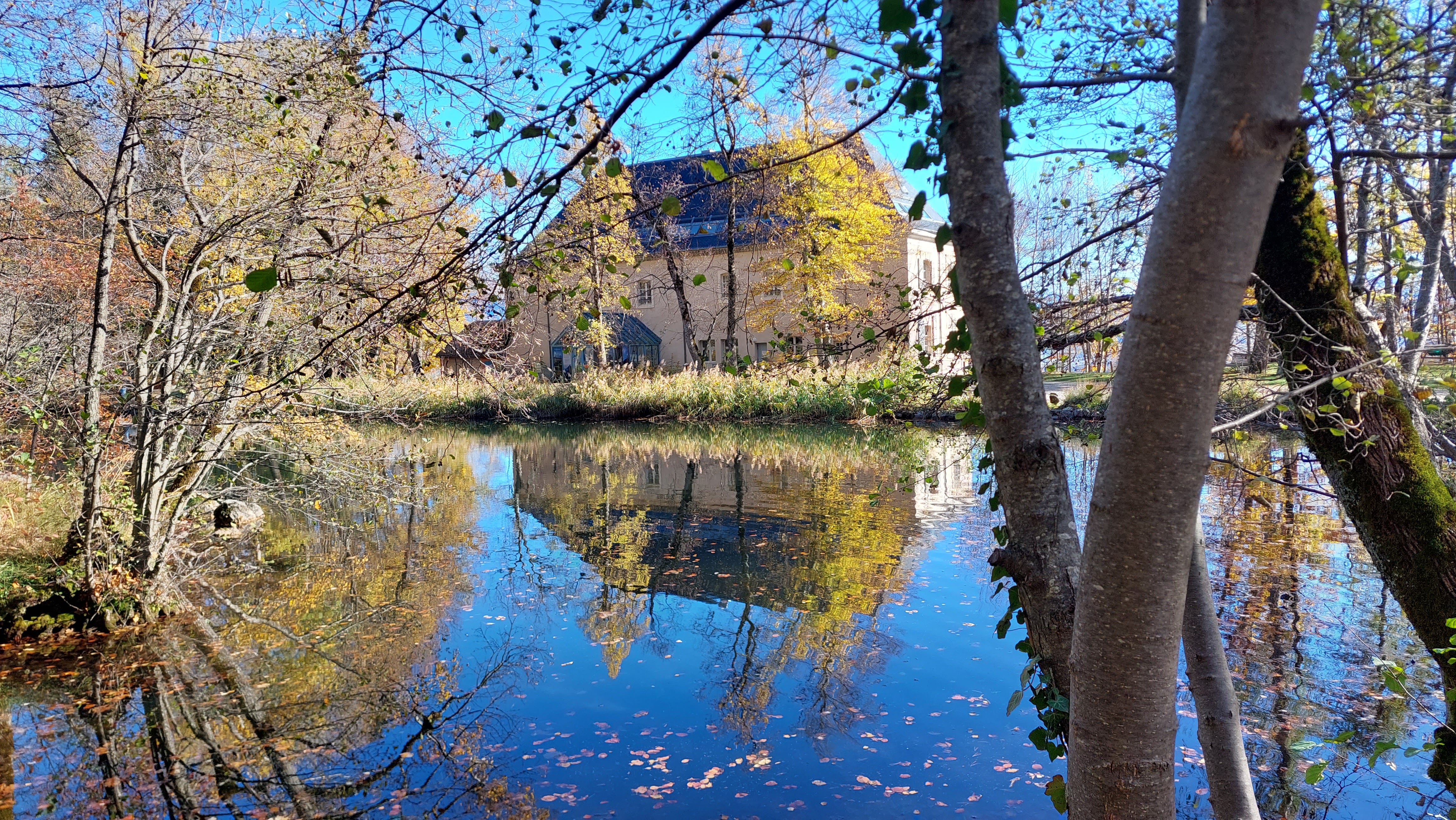 Photo n° 2 de l'avis de Didier.a fait le 18/11/2022 à 16:48