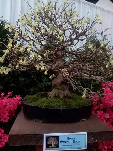 Conference Center «Fair & Expo Center», reviews and photos, 2695 E Henrietta Rd, Henrietta, NY 14467, USA