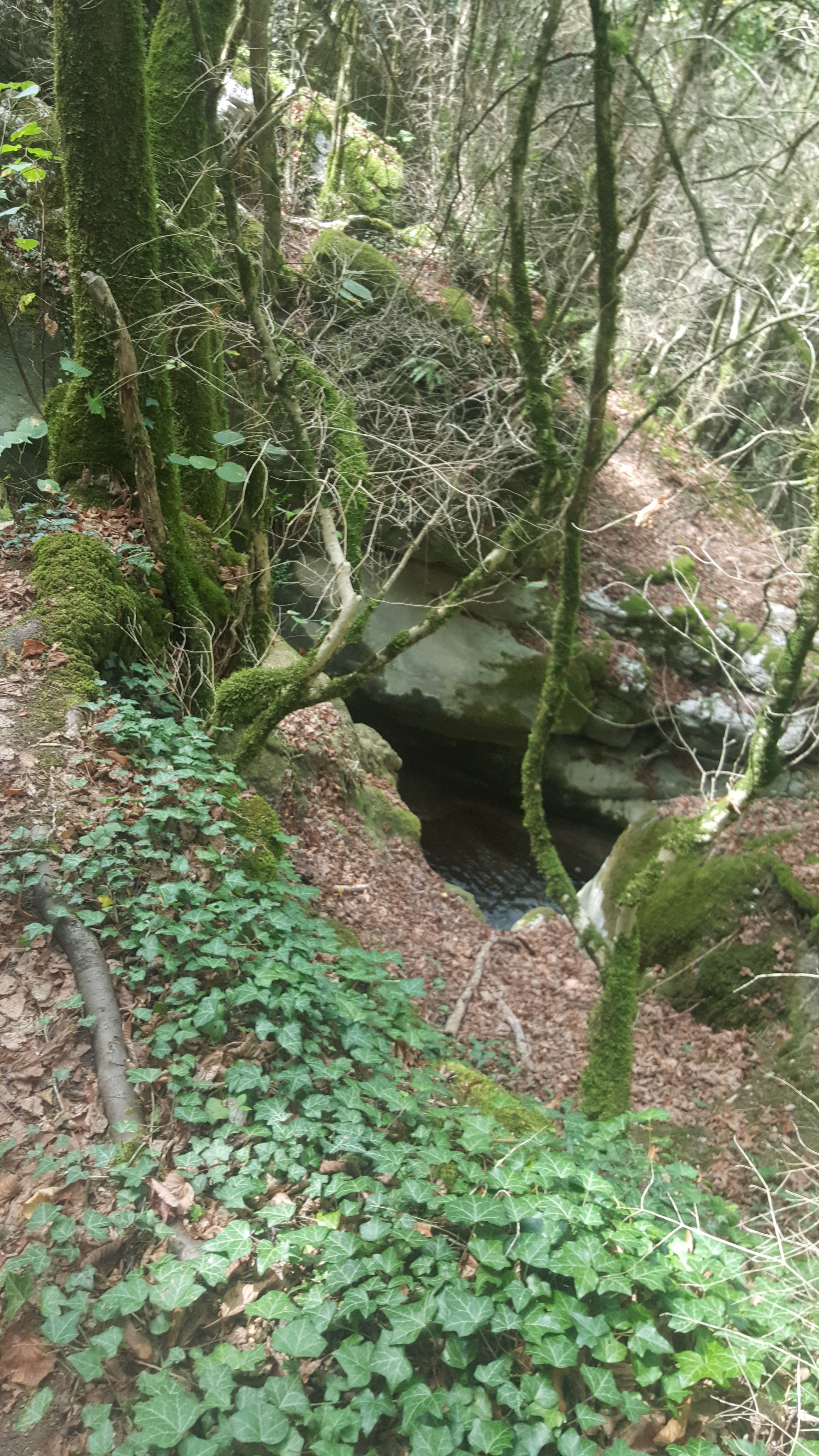 Photo n° 6 de l'avis de Vivi.o fait le 10/09/2018 à 07:44