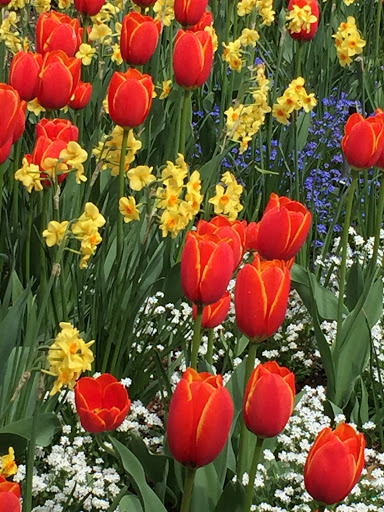 Park «Volunteer Park», reviews and photos, 1247 15th Ave E, Seattle, WA 98112, USA