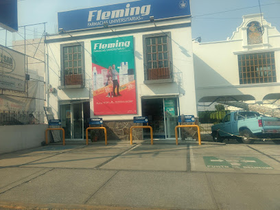 Farmacia Fleming Sucursal Cholula, , Cholula De Rivadavia