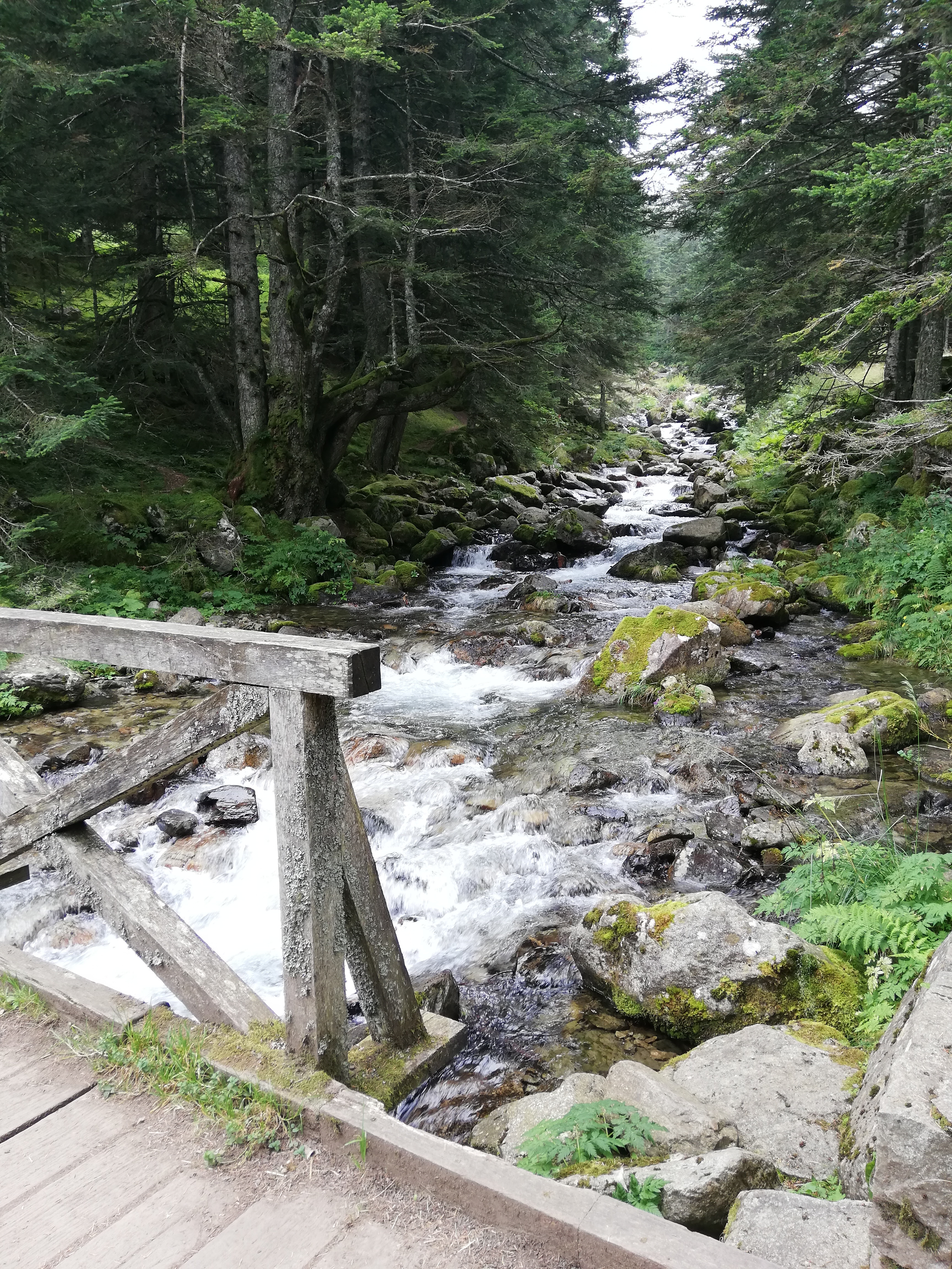 Photo n° 6 de l'avis de floch.a fait le 22/08/2021 à 13:11