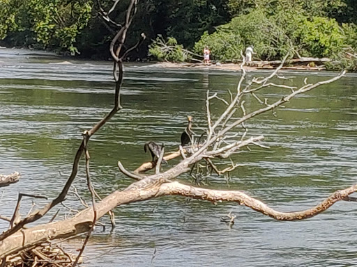 National Park «Chattahoochee River National Recreation Area, Island Ford Unit», reviews and photos, 1978 Island Ford Pkwy, Sandy Springs, GA 30350, USA