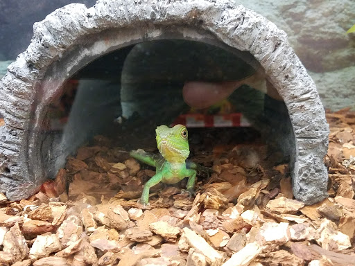 Pet Supply Store «Petco Animal Supplies», reviews and photos, 10 Sylvan St, Peabody, MA 01960, USA