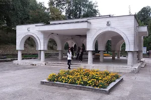 “Lady’s Teardrop” Mineral Water Spring image