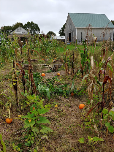 Farm «Heron Pond Farm», reviews and photos, 299 Main Ave, South Hampton, NH 03827, USA