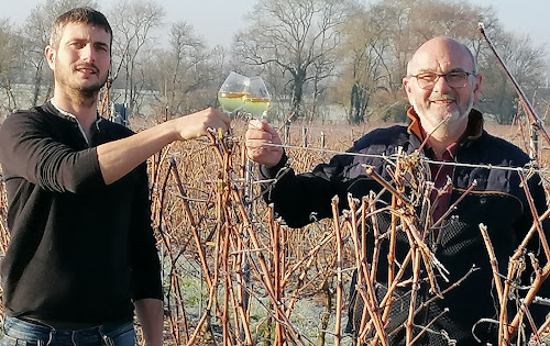 Domaine du Bon Repos à Chemillé-en-Anjou