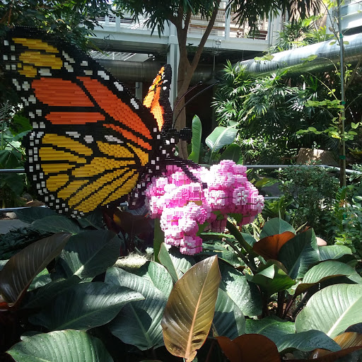 Botanical Garden «White River Gardens», reviews and photos, 1200 W Washington St, Indianapolis, IN 46222, USA