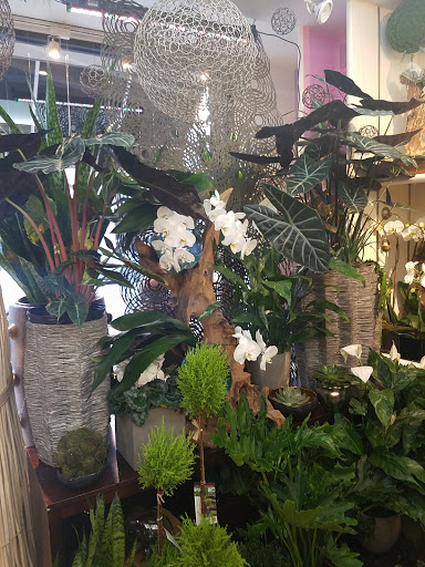 Florist «Scarsdale Flower Boutique», reviews and photos, 7 Harwood Ct, Scarsdale, NY 10583, USA