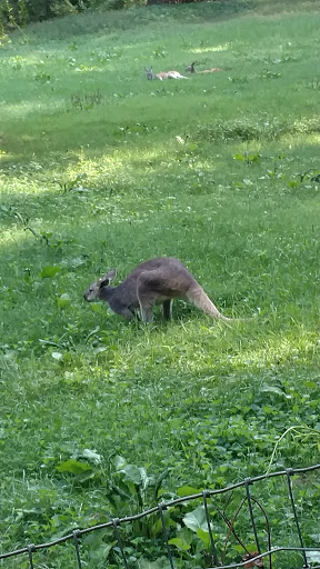 Golf Course «Binder Park Golf Course», reviews and photos, 7255 B Dr S, Battle Creek, MI 49014, USA