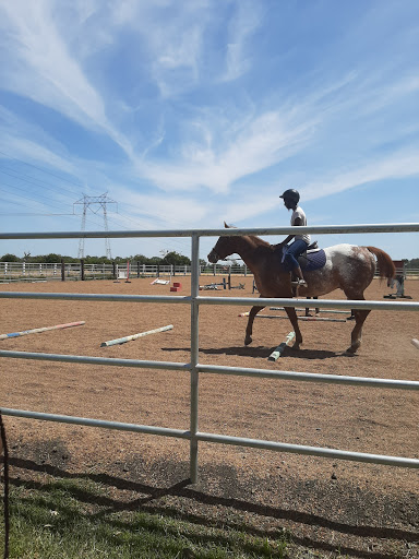 Horse riding school Fairfield