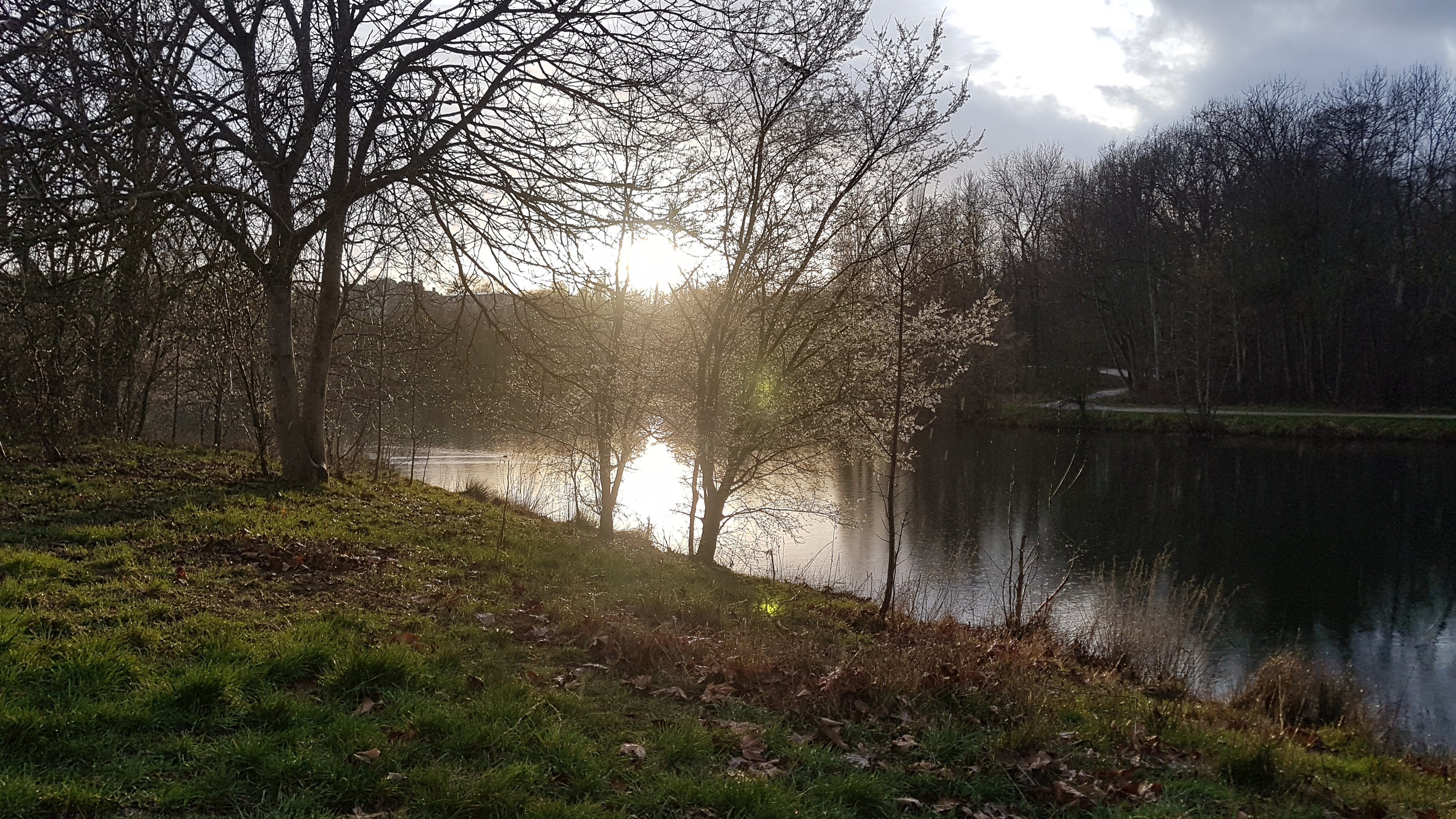 Photo n° 17 de l'avis de Jean-marie.o fait le 06/03/2019 à 12:51