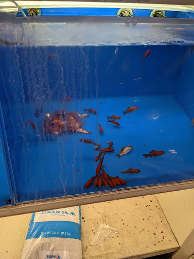 Pet Supply Store «PetSmart», reviews and photos, 3081 S 5600 W, Salt Lake City, UT 84120, USA