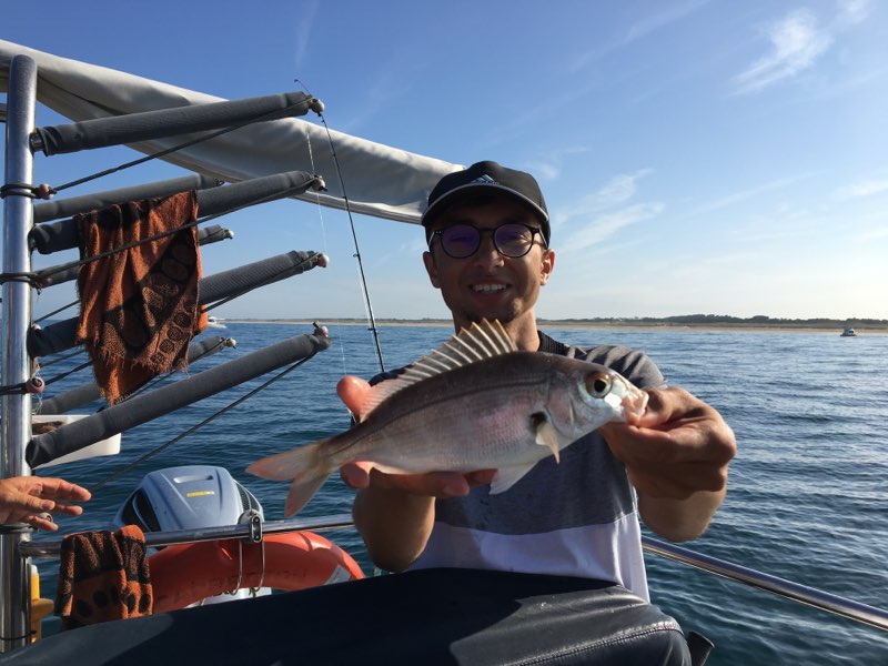 Photo n° 2 de l'avis de Mathieu.l fait le 18/08/2019 à 19:59