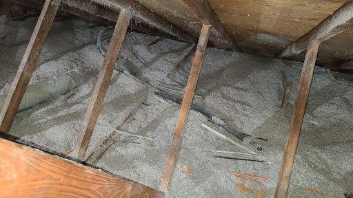 Pest Control Service «Universal Pest & Termite», reviews and photos