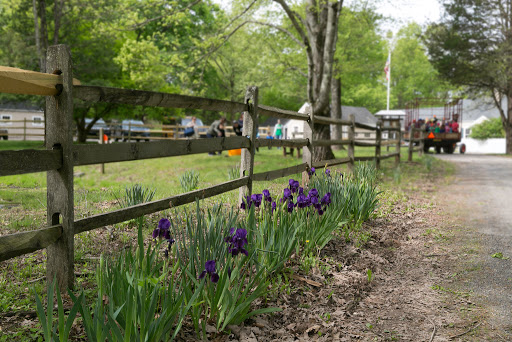 7 Rockaway Rd, Whitehouse Station, NJ 08889, USA