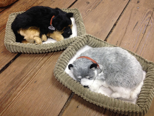 Toy Store «The Wharf Shop», reviews and photos, 69 Main St, Sag Harbor, NY 11963, USA