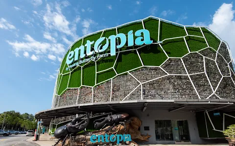 Entopia by Penang Butterfly Farm image