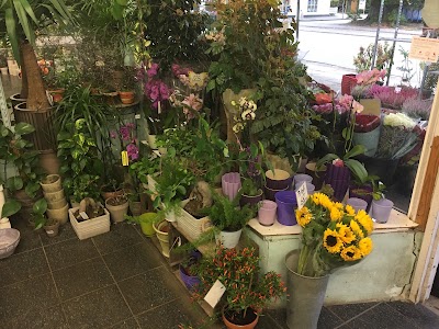 Photos of Bagsv&aelig;rd Blomster