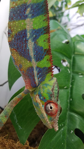 Pet Supply Store «Arcata Pet», reviews and photos, 600 F St #6, Arcata, CA 95521, USA