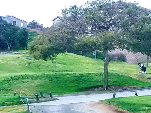 Public Golf Course «National City Golf Course», reviews and photos, 1439 Sweetwater Rd, National City, CA 91950, USA