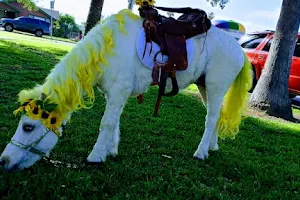 Pickles the pony & petting zoo image