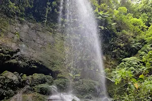 Cascada De Los Tilos image