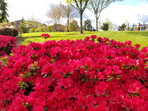 Park «Magnolia Park», reviews and photos, 1810 NW 192nd Ave, Hillsboro, OR 97124, USA