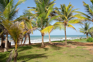Playa Los Cocos image