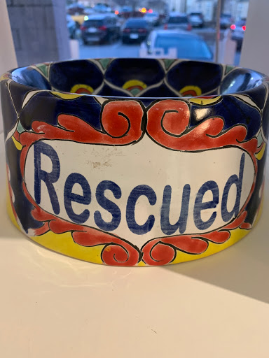 Pet Groomer «The Pet Set - Buckhead», reviews and photos, 2480 Briarcliff Rd NE #3, Atlanta, GA 30329, USA